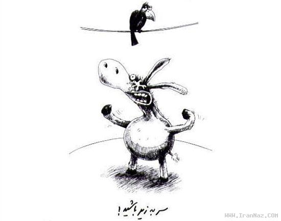 جدیدترین راه های موفقیت از نوع خرکی (طنز تصویری) ، www.irannaz.com