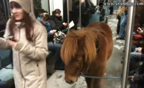 حرکت بسیار عجیب یک دختر 20 ساله در مترو (عکس)