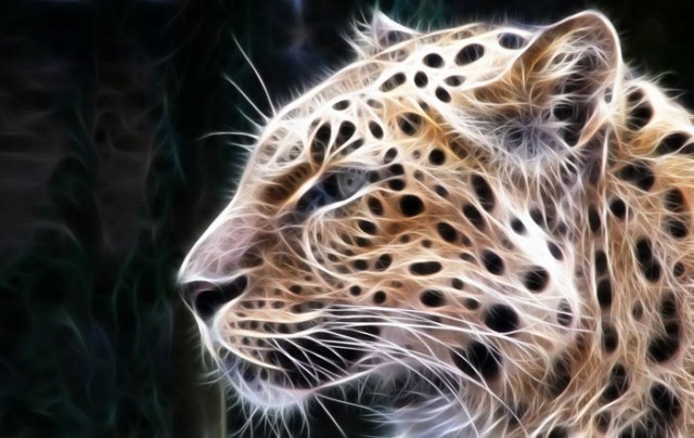  عکس های شگفت انگیر 3 بعدی از حیوانات | www.irannaz.com